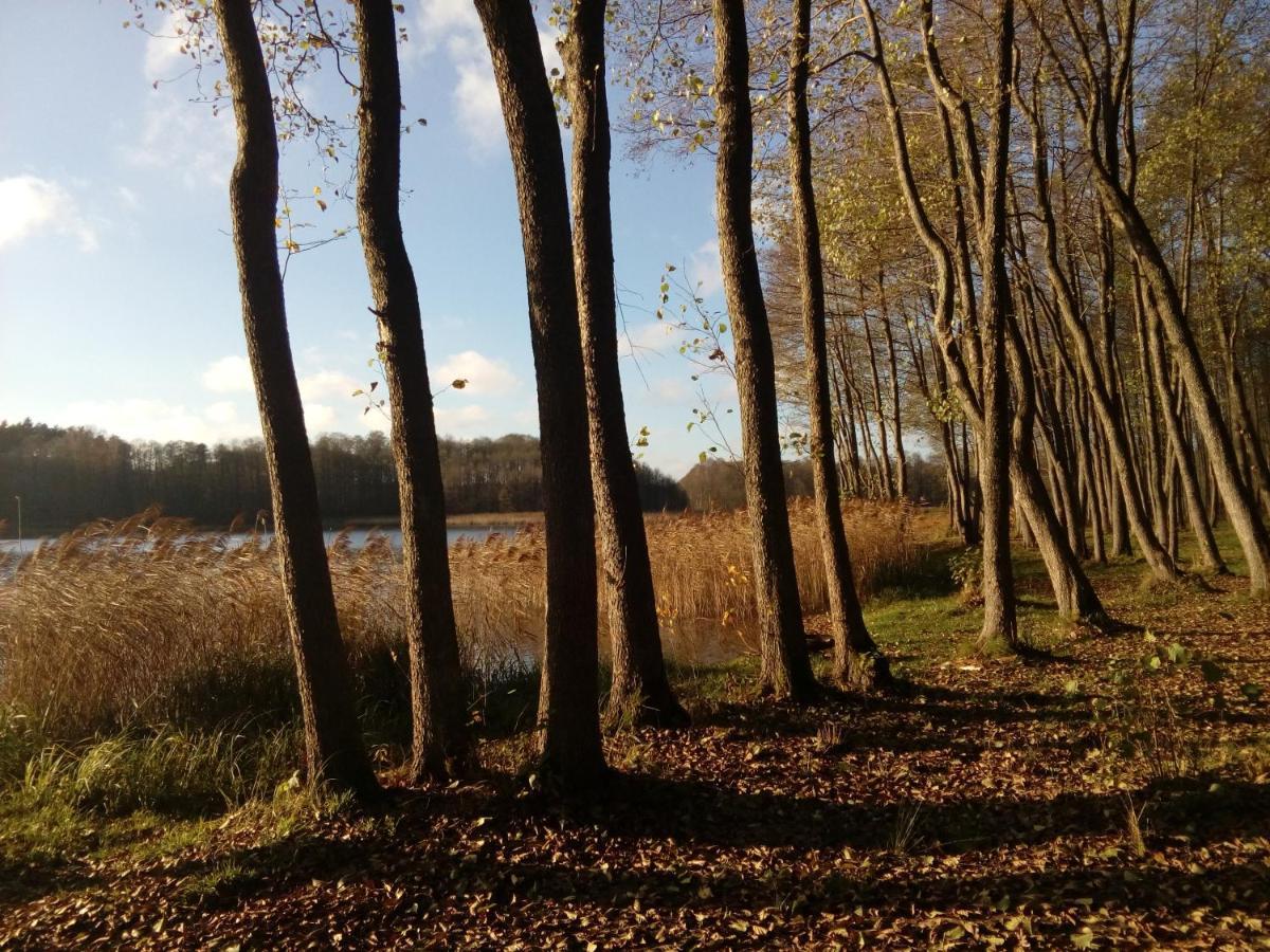 Domki Wczasowe Mazury - Ferienhaus Masuren - Do 12 Osob - Idealny Dla Grup Dluzek Exterior foto